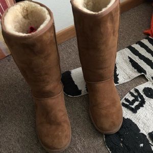 Gorgeous Tall Classic Chestnut Uggs